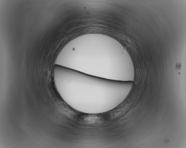 X0000096970759200802291121