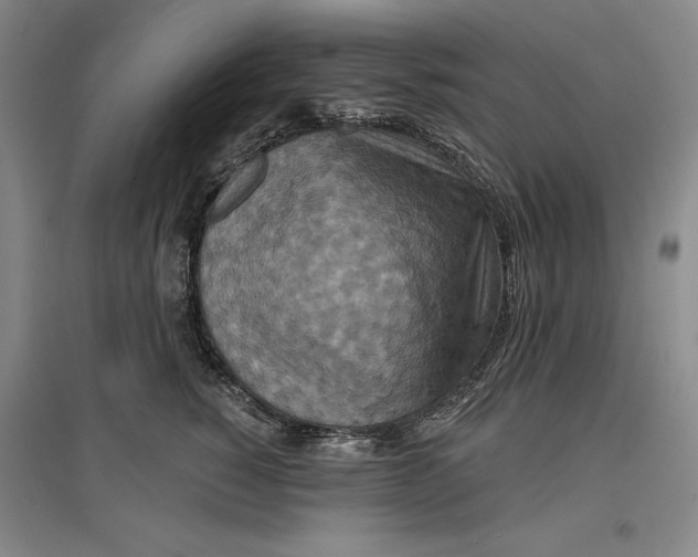 X0000096970760200802291121