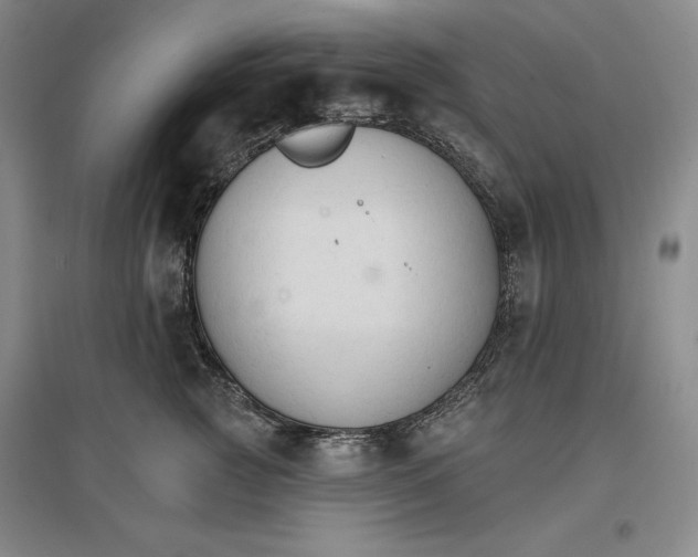 X0000096970761200802291121