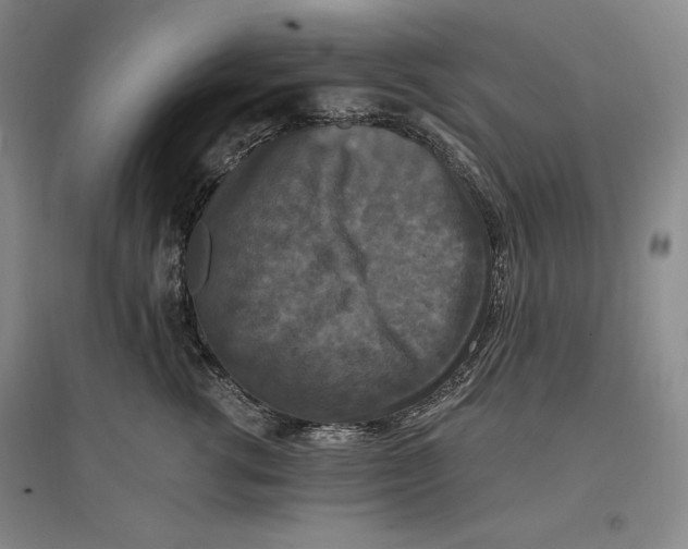 X0000096970762200802291121