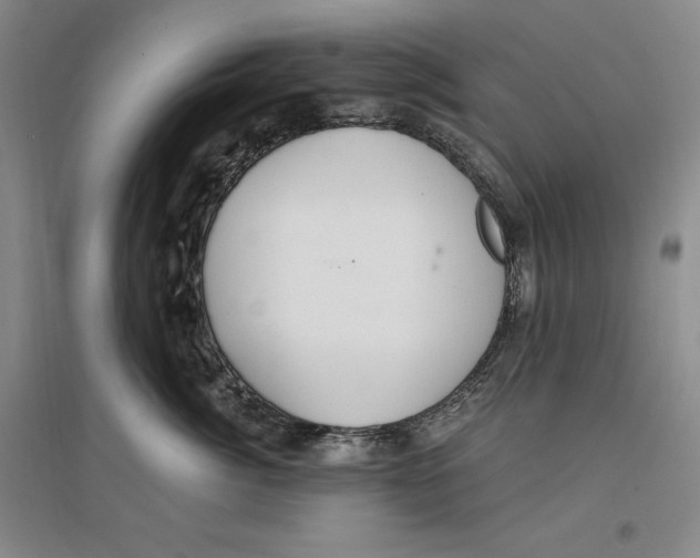 X0000096970764200802291121