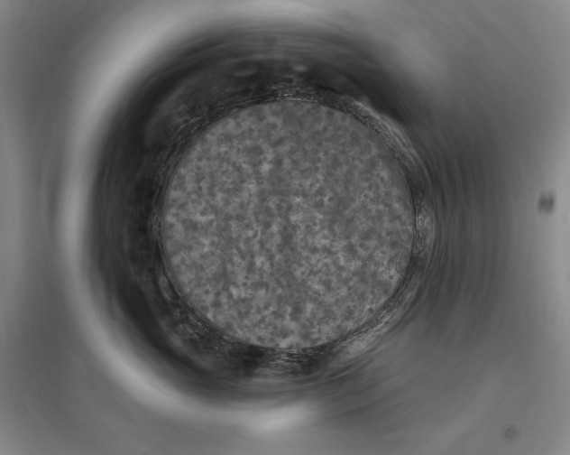 X0000096970765200802291121