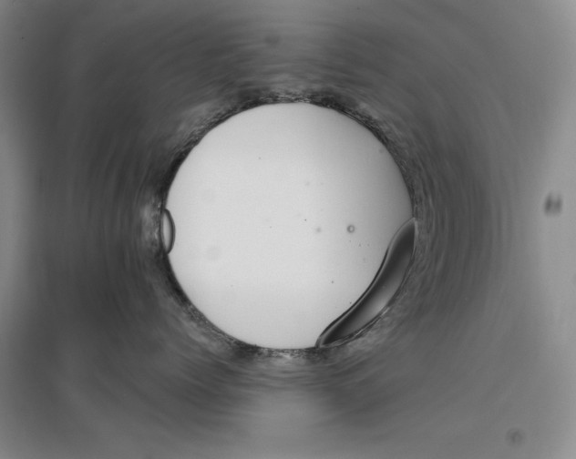 X0000096970768200802291121