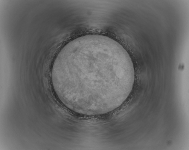 X0000096970769200802291121