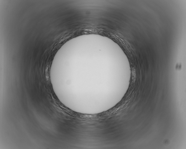 X0000096970770200802291121