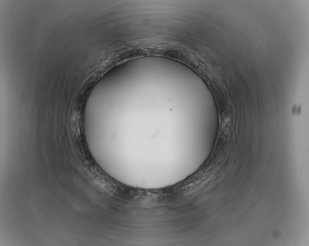 X0000096970772200802291121