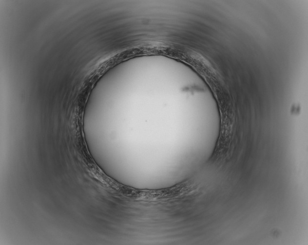 X0000096970773200802291121