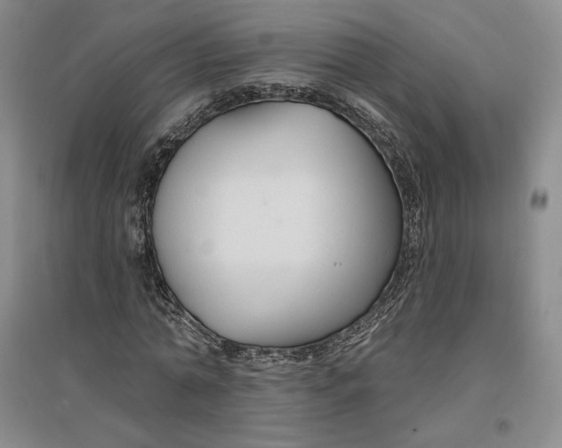 X0000096970774200802291121