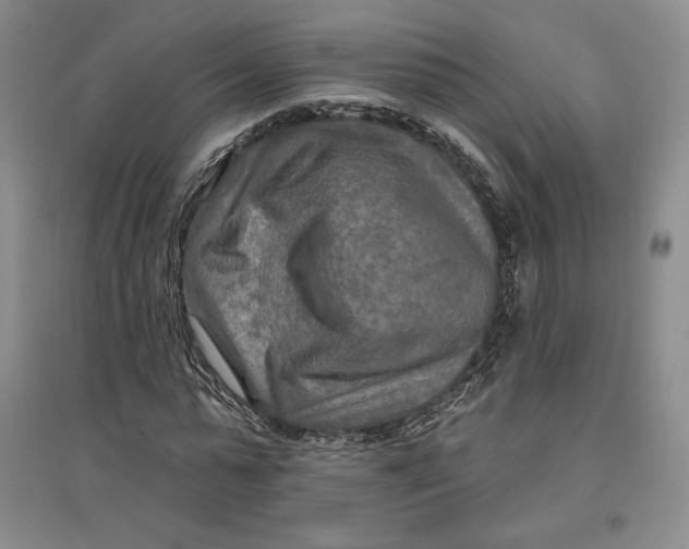 X0000096970775200802291121