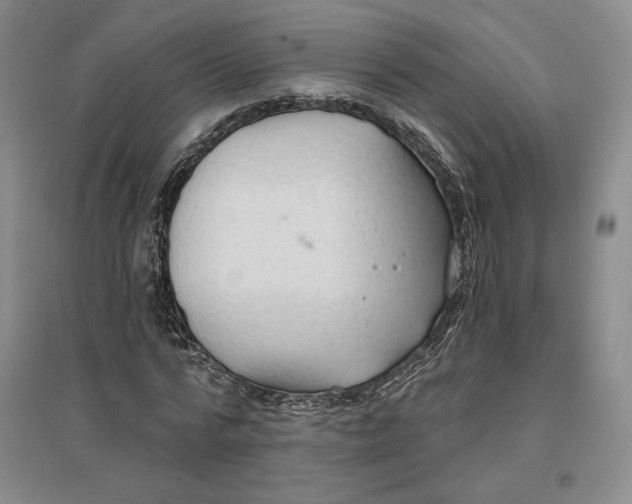 X0000096970776200802291121