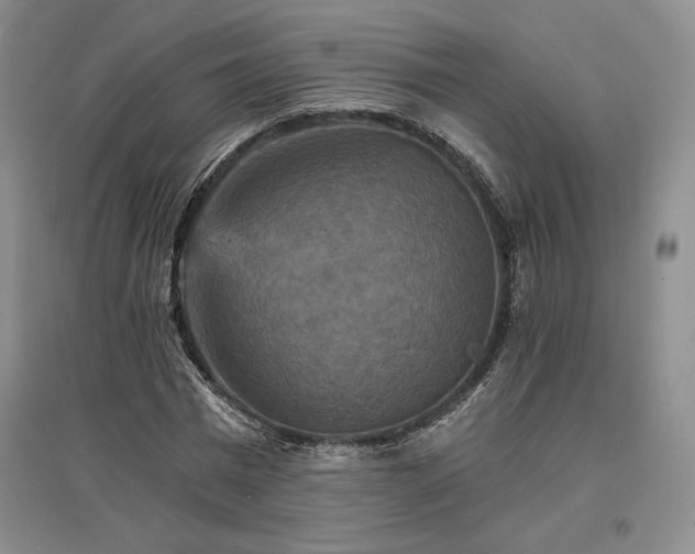 X0000096970777200802291121