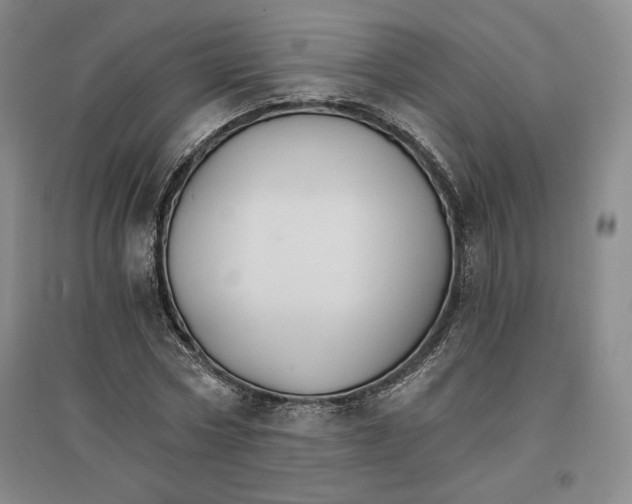 X0000096970778200802291121