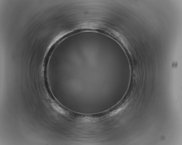 X0000096970779200802291121