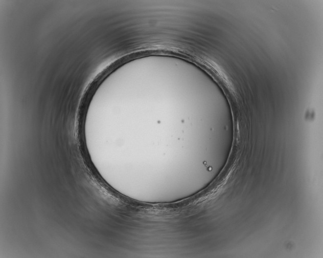 X0000096970780200802291121