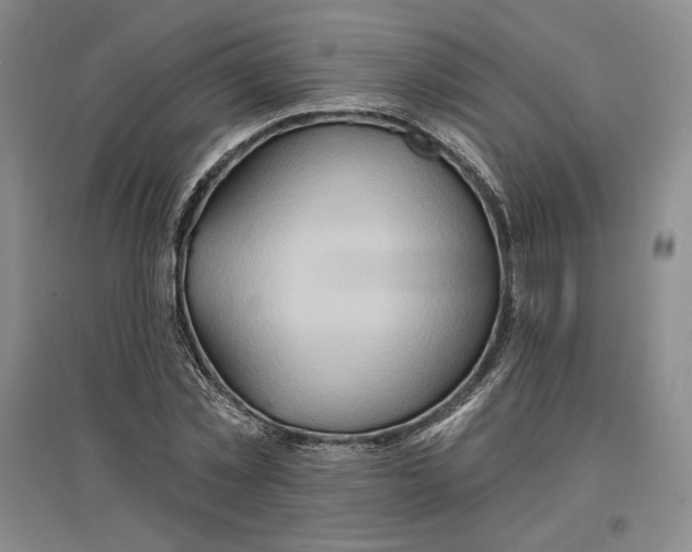 X0000096970781200802291121