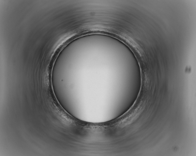 X0000096970782200802291121