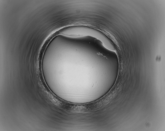 X0000096970784200802291121