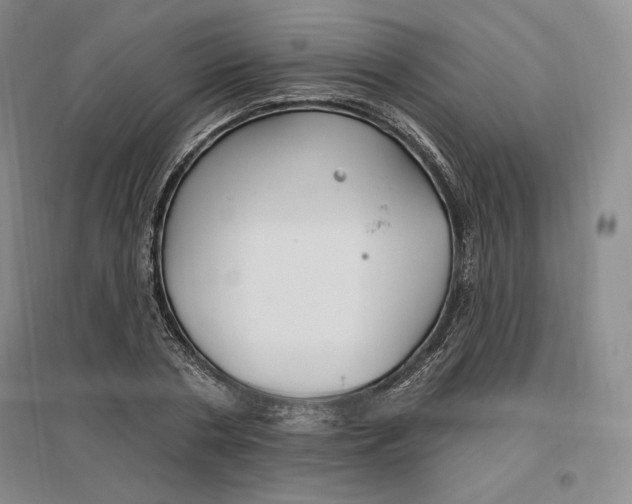 X0000096970786200802291120