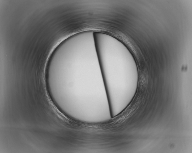 X0000096970787200802291120