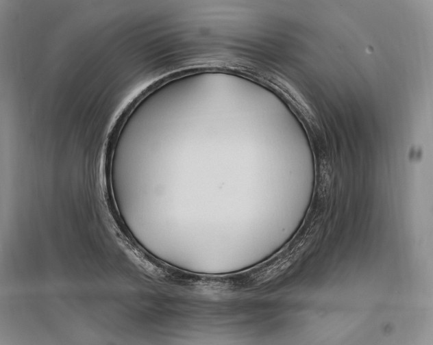 X0000096970788200802291120