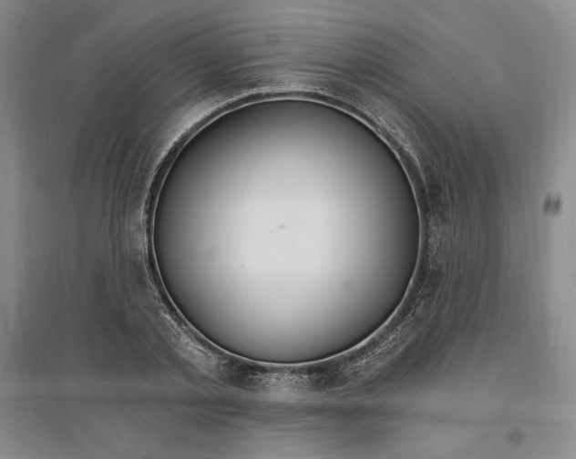 X0000096970789200802291120