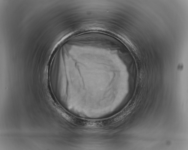 X0000096970790200802291120