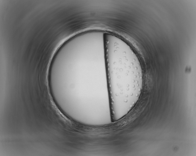 X0000096970791200802291120