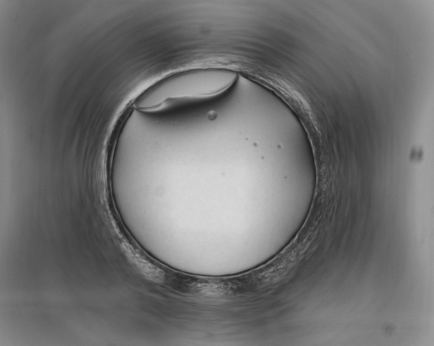 X0000096970792200802291120