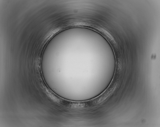 X0000096970793200802291120