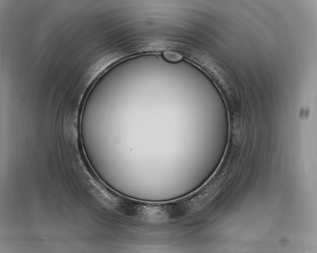 X0000096970794200802291120