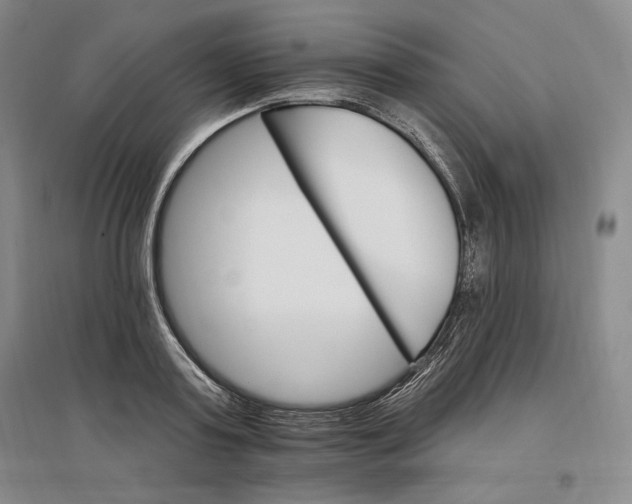 X0000096970795200802291120