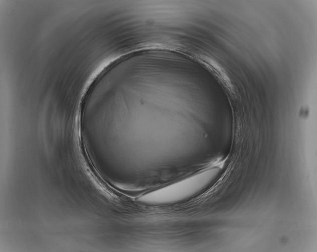 X0000096970796200802291120