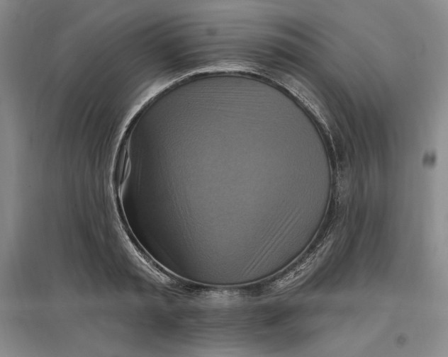 X0000096970797200802291120