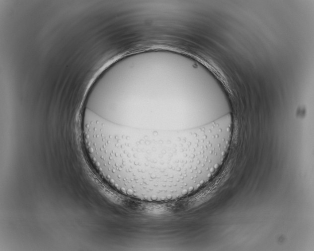 X0000096970798200802291120