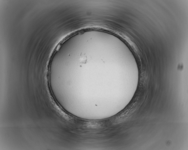 X0000096970799200802291120