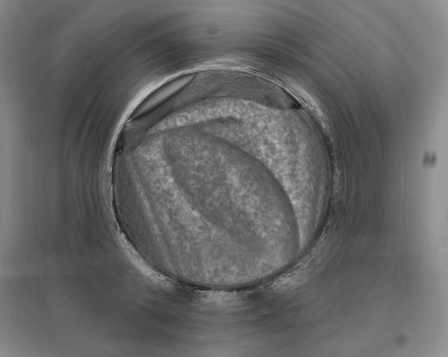 X0000096970800200802291120