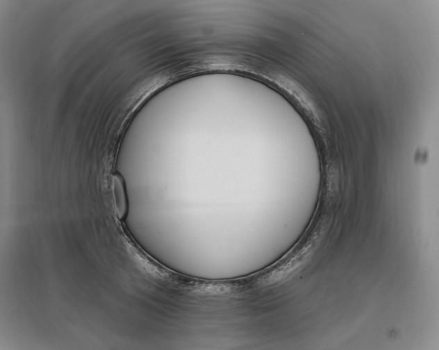 X0000096970801200802291120