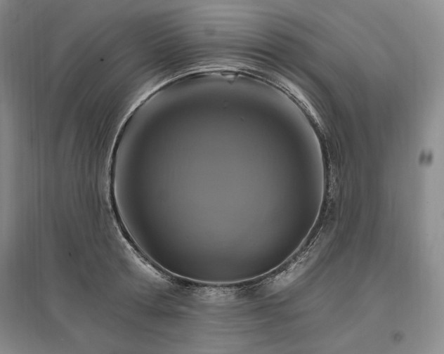 X0000096970802200802291120