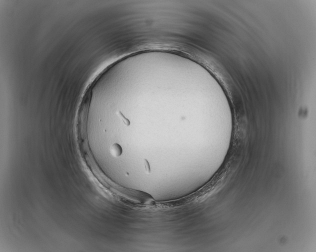 X0000096970803200802291120