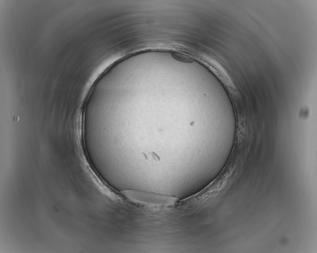 X0000096970804200802291120