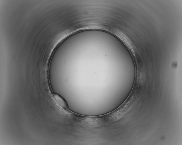 X0000096970805200802291120