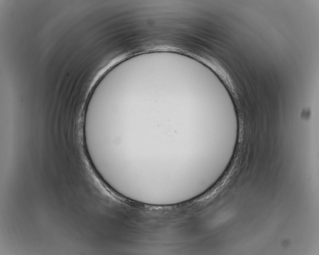 X0000096970806200802291120