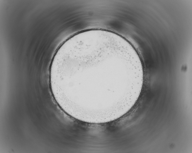 X0000096970807200802291120