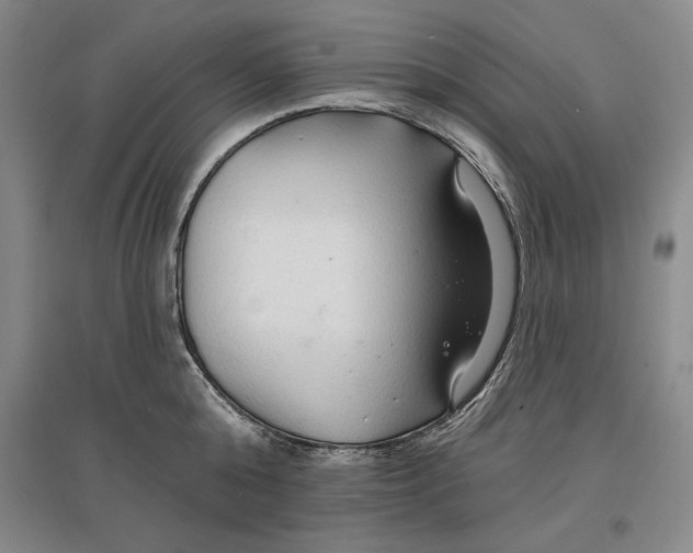 X0000096970808200802291120