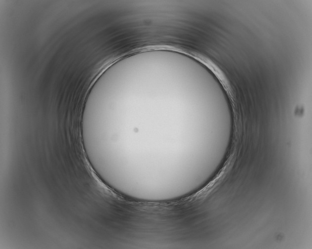 X0000096970809200802291120