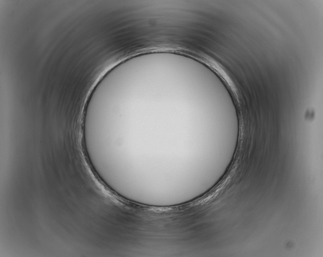 X0000096970810200802291120