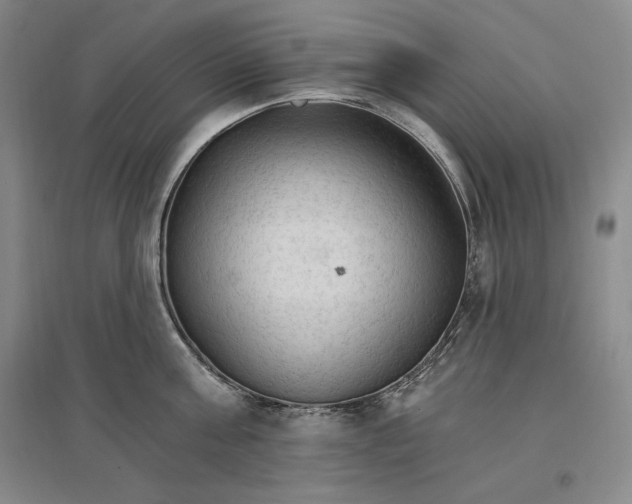 X0000096970811200802291120