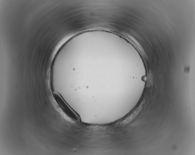 X0000096970812200802291120