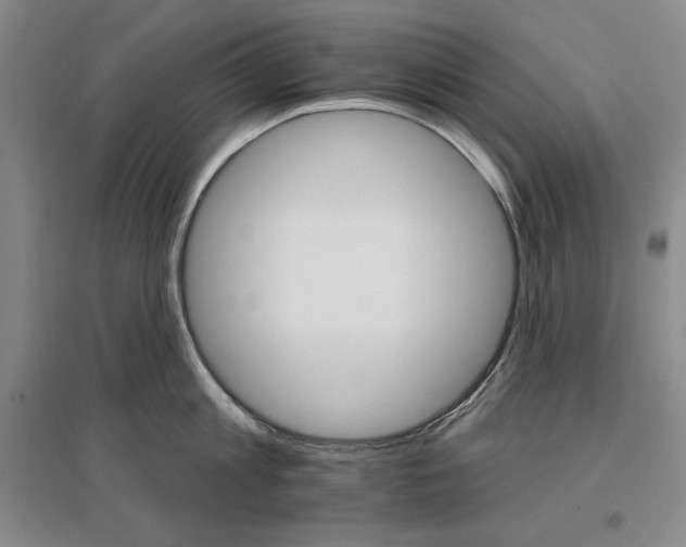 X0000096970813200802291120