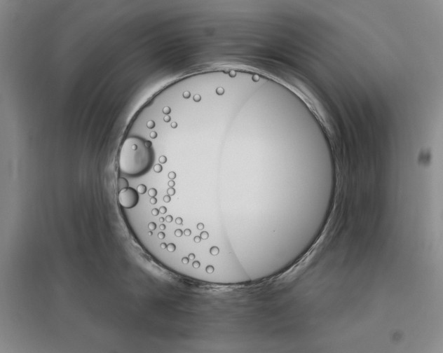 X0000096970814200802291120